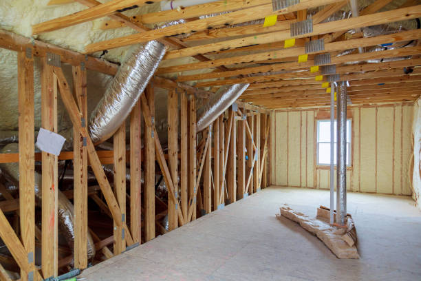 Best Geographic-Specific Insulation Services in Roosevelt Park, MI