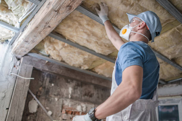 Best Cellulose Insulation in Roosevelt Park, MI