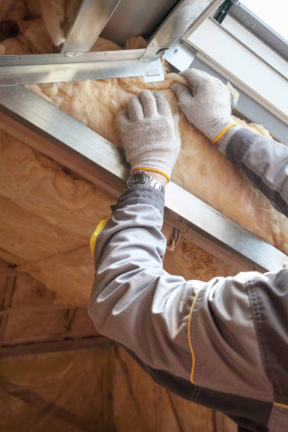 Best DIY Insulation Kits and Guidance in Roosevelt Park, MI