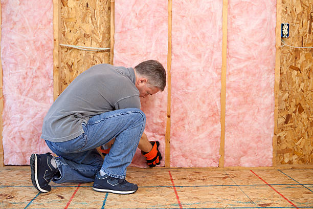 Types of Insulation We Offer in Roosevelt Park, MI