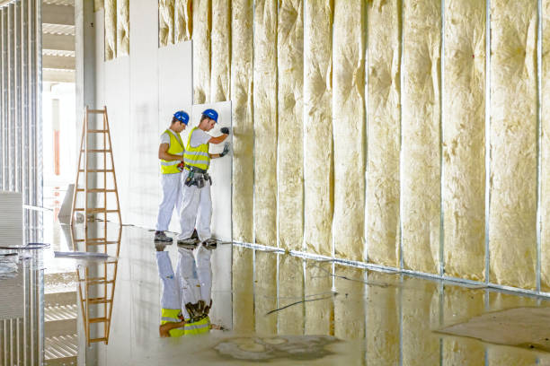 Professional Insulation Contractor in Roosevelt Park, MI